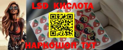 сатива Кингисепп