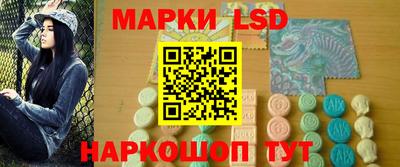сатива Кингисепп