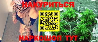 сатива Кингисепп