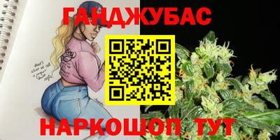 сатива Кингисепп