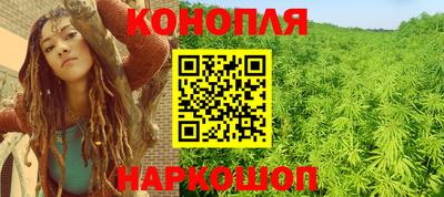 сатива Кингисепп