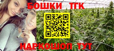 стаф Кимры