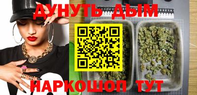 сатива Кингисепп