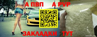 сатива Кингисепп